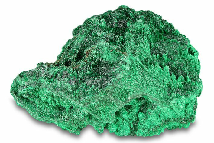 Silky Fibrous Malachite Cluster - DR Congo #294643